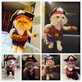 Miniatyrbild 5 av 5: （M）Husdjurstillbehör Hundkläder Stående Piratkläder Hundkläder