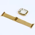 Pikkukuva 5 / 5: 40mm kultainen ranneke silikonikotelolla ja Apple Watch -rannekkeella, magneetti