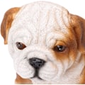 Miniatyrbillede 5 af 5: Engelsk Bulldog Hvalp Statue Realistisk Resin Bulldog Skulptur Til