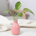 Miniatyrbild 3 av 4: Hydroponisk Keramisk Vas för Växter Kreativ Främjar Hälsosam Tillväxt Planteringskärl för Vardagsrum Sovrum Arbetsrum Pink