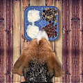 Miniatyrbild 3 av 5: Hundlekmatta, Slickmatta, Långsam Foderdispenser Matta för Hundar, Hundlekmatta, Hundslickplatta, Silikonlekmatta, Slickplatta, Används för Små Hundar, 15 * 15 cm