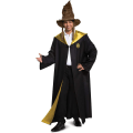Miniatyrbild 3 av 3: Förklädnad Harry Potter Sorteringshatt Lyx Kläder Tillbehör Adu