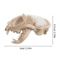 Miniatyrbillede 2 af 3: Katte Skelet Resin Dyr Lykkekat Kranie Model Figur Akvarium Fisketank Landskabsdekoration