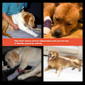 Miniatyrbillede 4 af 5: Pet Fracture Splint Hund Beskytter Box Ortopædisk Restaurering Sammenføjning
