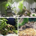 Miniatyrbillede 2 af 4: Akvarie Drifting træ fisk tank hule fisk kamp logs og Mo