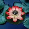 Miniatyrbillede 4 af 5: Flydende Lotus Solcellelys Solcelle Lotusblomst LED Solcellelampe 288c