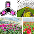Pikkukuva 3 / 4: Kasvilamppu Taitettava Kasvualamppu E27 80W 144 LED:tä LED Kasvualamppu