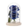 Miniatyrbillede 1 af 5: LED Kobbertråd Kunstig Rose Glas Dome Natlampe Boligindretning Fødselsdagsgave (Blå)