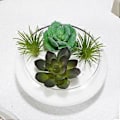 Miniatyrbild 3 av 4: Glas Planteringskruka Glas Suckulentkruka Liten Blomkruka Liten Planteringsbehållare Klar Fisk Skål