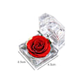 Miniatyrbild 2 av 6: Äkta rosor permanent förvarade i mini transparent ringbox, årsdag, Alla hjärtans dag, jul, födelsedagspresenter (röd)