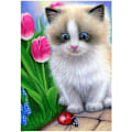 Pikkukuva 1 / 5: 30*40cm 5D timanttimaalaussarja Ragdoll-kissa Lily Ladybug