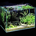 Miniatyrbillede 3 af 5: LED-akvarielys, LED-akvarielys, amfibisk LED-fisktank