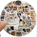 Miniatyrbillede 2 af 3: 50 stk. Katte Klistermærker - Sjove Katte Klistermærker Gaver