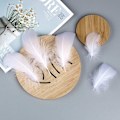 Miniatyrbillede 2 af 5: Totify 600 Hvide Fjer - Naturlig - Perfekt til Tøj, Hatte,