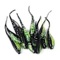 Miniatyrbilde 4 av 5: Luya Falsk Agngrossist Haletudseform Tofarget Nålhale 5cm/0.7g 1stk Fluorescerende