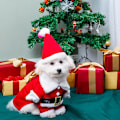 Miniatyrbild 1 av 5: (\"M\" Storlek) Juldräkt för katt, Julhusdjurskläder Hund Katt Jultomtekläder