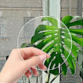 Miniatyrbilde 2 av 4: 20 stk. Rund Akrylplate Klar Transparent Platepanel DIY Kunsthåndverkprosjekter
