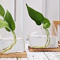 Miniatyrbild 4 av 5: Hjärtmodell Glasvas Ornament Stabil Placering Minimalistisk Design Vas för Bordsdekoration & Heminredning 2 Set