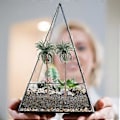 Miniatyrbild 4 av 4: 10 st Regnskog Plast Palmträd Modell Layout Rekvisita Tropiskt Landskap DIY Handgjort Material Mini Kokospalmträd Modell Grön (16, 13, 10, 8, 7 CM)