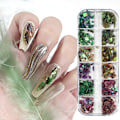 Miniatyrbillede 5 af 5: Neglekunst til neglekunst, Manicure muslingeskalsfragment ornament fancy
