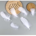 Miniatyrbild 5 av 5: Totify 600 vita fjädrar - Naturlig - Perfekt för kläder, hattar,