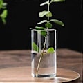 Miniatyrbild 2 av 3: Klar Glasvas Blomvas Minimalistisk Glasvas Cylinderformad Blomvas för Bröllop Vardagsrum Dekorativ Gåva 5.5x10cm