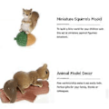 Pikkukuva 4 / 4: 4 kpl Miniatyyri Orava Figuriinit Eläinmallit Maisema Puutarhakoriste