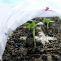 Miniatyrbillede 2 af 4: 1 stk. Nonwoven plante tæppe til varmeisolering og fugt