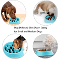 Miniatyrbild 5 av 5: Hundskål - Intressant interaktiv skål - Slow Feeder - För små