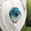 Miniatyrbillede 5 af 5: Statue, 15 cm, polyresin, fuld farvepalette