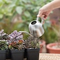Miniatyrbillede 5 af 5: Vandkande i rustfrit stål til indendørs plantehave