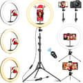 Ring Light med Stort Stativ, 12\" Selfie Ring Light, Justerbar