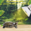 Miniatyrbillede 5 af 5: 2 stk. Skildpadde Varmelampe, Infrarød Varmelampe Klemmelampe med G