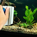 Miniatyrbillede 2 af 5: 1 x Akvarierensebørste Magnetisk Glas Algefjerner
