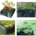 Miniatyrbilde 3 av 5: Plantepose 24\" x 24\"/60cm x 60cm 4 Delt Firkantet Mesh Plantepose