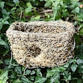 Miniatyrbilde 2 av 5: Gress tunneler for hamster gjemmesteder, hamster tunneler, natura