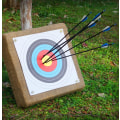 Miniatyrbild 5 av 5: 20 full ring targetpapper bågskytte mål 40cm x 40cm internation
