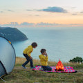 Miniatyrbild 5 av 5: 3D dekorativ kartong 2-pack Bonfire Center Flame Torch Artific
