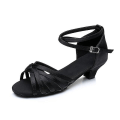 Miniatyrbillede 4 af 4: Dame Latin Sko Dansesko Scene Indendørs Chacha Basic Hæl Øvelse Lav Hæl Navy Tan Sort-happygo.31.Sølv Silver 31
