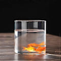 Miniatyrbild 2 av 3: Klar Glasvas Blomvas Minimalistisk Glasvas Cylinderformad Blomvas för Bröllop Vardagsrum Dekorativ Gåva 10x10cm