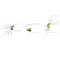 Miniatyrbild 3 av 3: 2pack, The Original Emergency Keychain Car Escape Tool,  The Orig