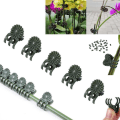 Miniatyrbild 1 av 5: 100-pack Orkideklämmor Vertikal Gren Stake för Flo