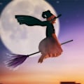 Pikkukuva 3 / 4: 2 kappaletta, oranssi+vihreä Halloween-noidan luuta, paha noita viitta