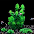 Miniatyrbilde 2 av 5: Akvariedekorasjonsplanter, 13 stk. plastakvarieplanter