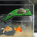 Miniatyrbillede 4 af 4: Skildpadde solbadningsplatform, græsskildpadde rampe til skildpaddetank, reptil