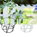 Miniatyrbilde 4 av 4: Svart jernplanter - hengende planter hengende planter hengende plan