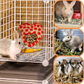 Miniatyrbild 5 av 5: (liten jordgubbs höpåse) Jordgubbs höpåse för kanin/hamster/