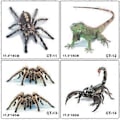 Miniatyrbilde 2 av 5: 3D Bilklistremerke Edderkopp Gekko Dyr Simulering Bil Haleklistremerke Realistisk Modifikasjon