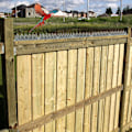 Miniatyrbild 4 av 5: Fågelspikar, 14 st duvspikar 4,6 meter 3 rader plast (grå)