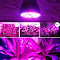 Miniatyrbillede 3 af 4: Pære Gro Lys, LED Gro Lys Pære 50W E27 Høj Effekt Panel Ful